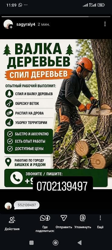 Спил по валка и спилу деревьев Профессиональная работа: - спил и