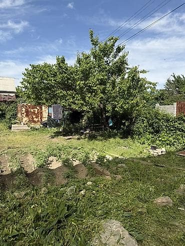 единственный владелец: Продаётся кирпичный двухэтажный дом с большим участком и навесом для — 3