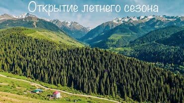 дом с действующим бизнесом: Продаю или ИЩЕМ ИНВЕСТОРА. Бизнес круглый год 4 сезона Продается — 4