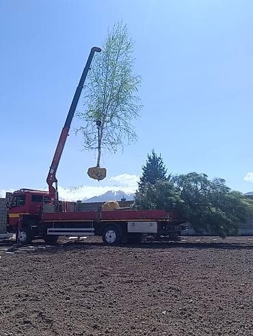 вешалка из дерева: Стрела 11 м, 3 т, Борт 8000 кг — 1