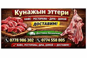 цеплята несушки: Кунайжын эттери — свежее мясо для кафе, ресторанов, дачи и домой. Что — 2