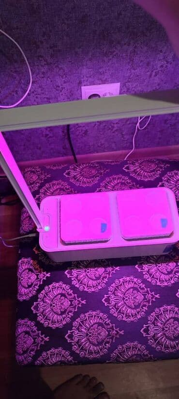 умный аквариум: Умный сад iGarden LED Гидропонная установка система умный сад с лампой — 1