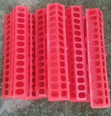 дойних коров: Кормушка для цыплят Качественная и удобная кормушка для цыплят — 1