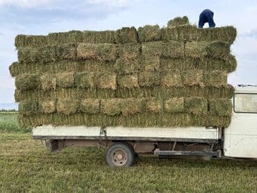 гул уруктар: Беде Беде Беде Клевер Клевер доставка укладка эсть. туки метровые — 9