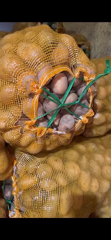 селитра уралхим: Картошка Джелли — 2