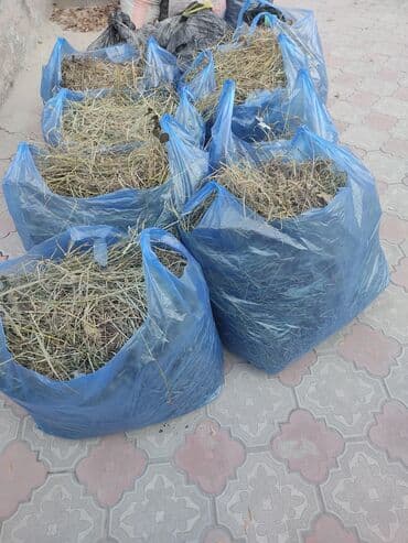купить кукурузу на корм: Бесплатно Сено в мешках - Упаковка: плотные синие полиэтиленовые — 1
