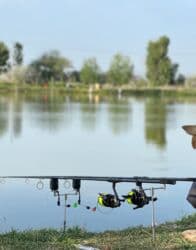 ракетка для настольного тенниса купить: Карповый рыболовный комплект 3 удилище Progress Easthark 3.90 3.75lb — 19