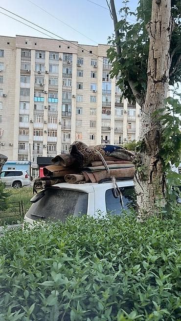 клининн: Килемдерди жуу, | Килем — 3