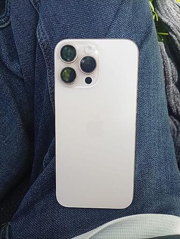 IPhone 16 Pro Max, Б/у, 256 ГБ, Desert Titanium, Кабель, 91 %