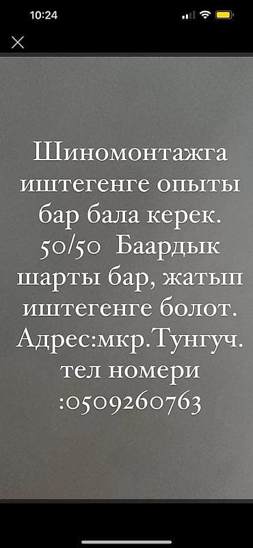 Шиномонтажга иштегенге опыты бар бала керек. 50/50 Баардык шарты бар