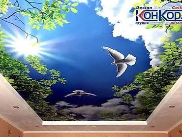 iphone se1: Натяжной потолок 3D потолки, Глянцевое, Матовое Бесплатная консультация, Бесплатный замер, Гарантия — 1