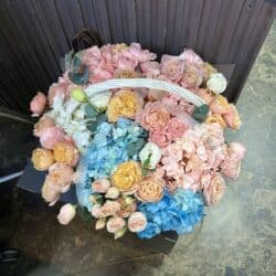 продаю или меняю на: Только что получили, цена договорная — 1