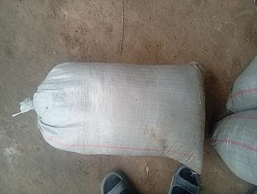 дать объявление: Перегной — 3