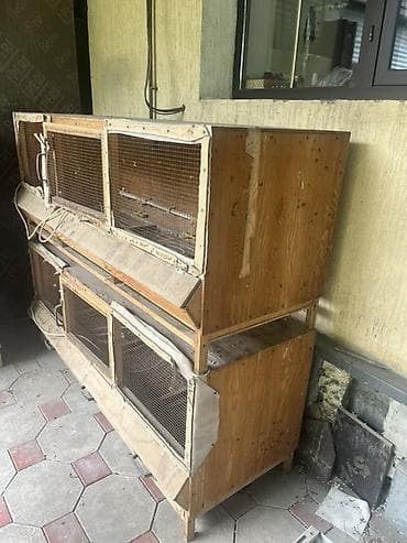 Айыл-чарба жаныбарлары: Многоярусные клетки (брудеры) для содержания птенцов. Описание: - — 2