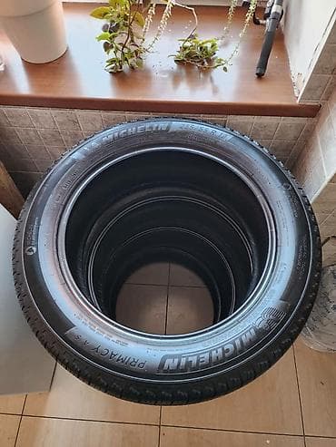 Шиналар 235 / 55 / R 19, Жай, Комплект, Жол тандабастар (АТ/МТ), Франция, Michelin