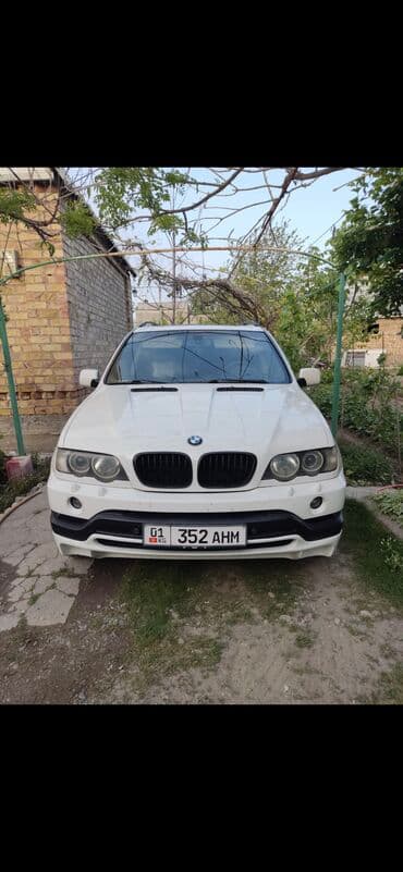 диск на х5: BMW X5: 2003 г., 3 л, Типтроник, Бензиновая, Кроссовер — 1