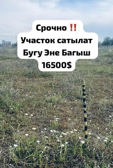 павлония кыргызстан: 400 соток, Для строительства, Красная книга, Тех паспорт, Договор купли-продажи — 1