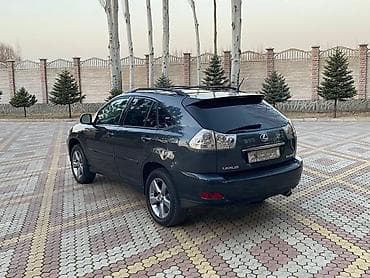 fj cruser: Lexus RX: 2004 г., 3.3 л, Автомат, Бензин, Кроссовер — 8
