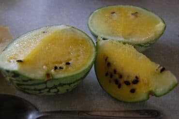 разнорабочий в бишкеке: Ищу бизнес партнера, инвестора, для выращивания овощей (открытый — 30