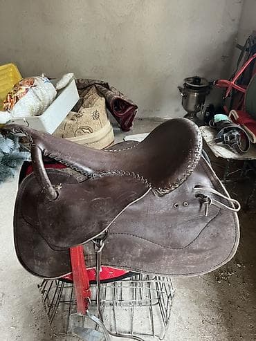 каракол собаки: Кыргыз ээр жана жугон Жазалышы: кожыный оюм чийими бар, колго — 6