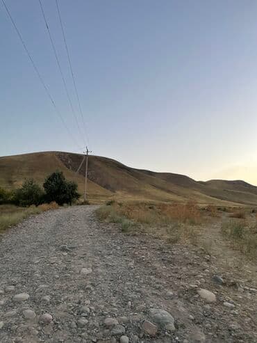 продается дом село сокулук: Продаю Кошара, 50 соток, Действующий, Без оборудования, Электричество — 31