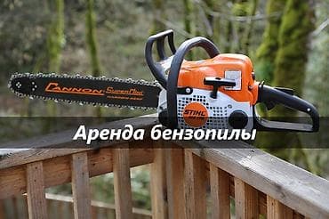 пилорама тайга: Сдам в аренду Пилы, пчелки — 1