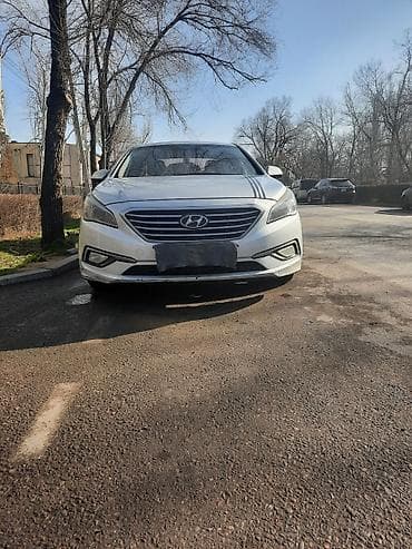 Hyundai Sonata: 2017 г., 2 л, Автомат, Газ, Седан