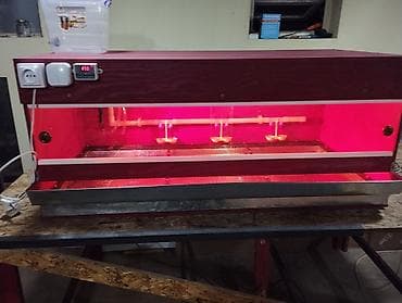 Башка жаныбарлар: Брудер!!!делаю на заказ брудера для цыплят. полный комплект сделан из — 8