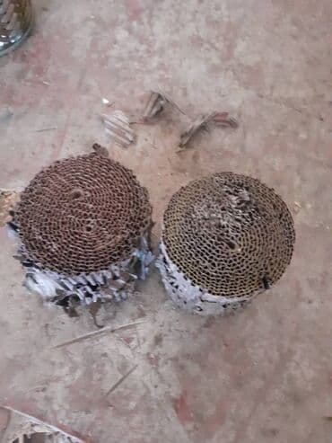 бу авто в кредит без первоначального взноса рядом просп. жибек жолу, бишкек: Скупка катализаторов катализатор катализаторов прием — 8