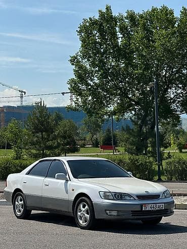 виндом дверь: Toyota Windom: 1998 г., 2.5 л, Автомат, Бензин, Седан — 2