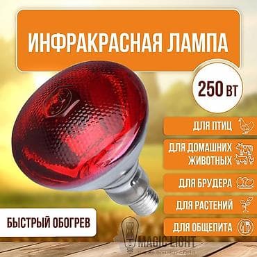 Дом и сад: Инфракрасная лампа 250 Вт
150 сом оптом — 1