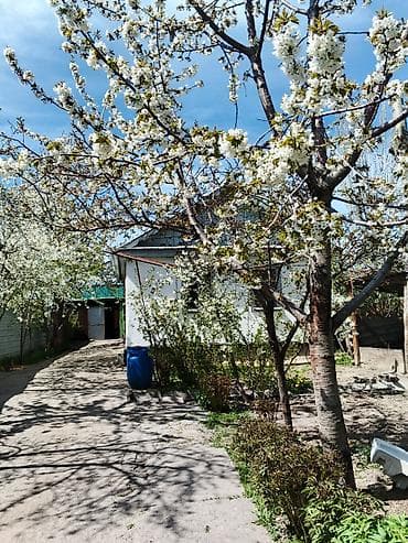 Кыймылсыз мүлк: - Отдельно стоящий одноэтажный дом с двускатной кровлей. - Территория — 2