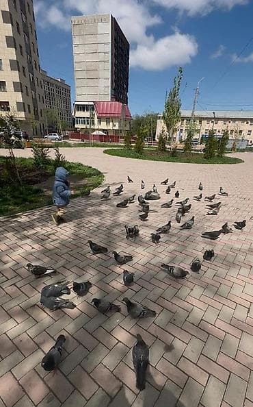 трешка: 2 комнаты, С мебелью полностью — 2