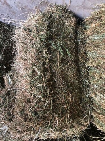 купить курей: 1йукос — 5