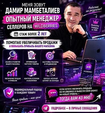 алиса яндекс: Опытный менеджер селлеров на Wildberries — Дамир Мамбета­лиев Стаж — 1