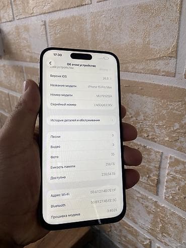 Apple iPhone: IPhone 15 Pro Max, 256 ГБ, Серебристый — 3