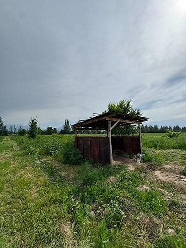 срочный: 155 соток, Для сельского хозяйства, Договор купли-продажи — 8