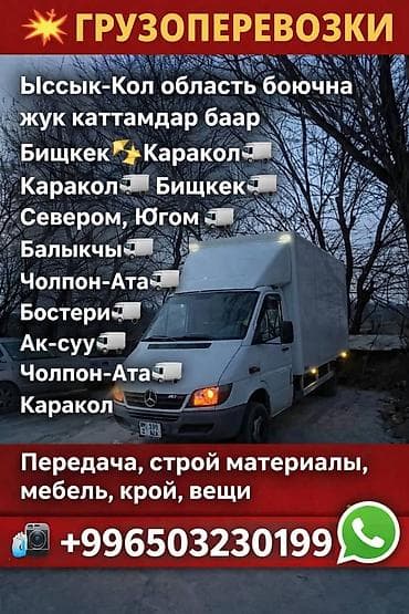 Грузоперевозки на Mercedes Sprinter (фургон). - Переезды, доставка