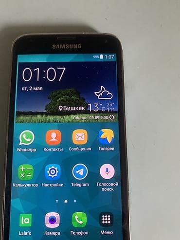 Samsung Galaxy S5 Duos, 2 SIM