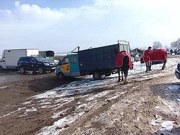 sprinter 4wd: Легкий грузовик, Mercedes-Benz, Стандарт — 6