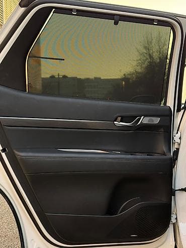 bmw 2: Hyundai Palisade: 2020 г., 2.2 л, Автомат, Дизель, Кроссовер — 7