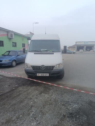 santa barbara: Легкий грузовик, Mercedes-Benz, Стандарт — 5