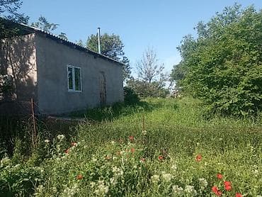 Дачный участок с небольшим домом и садом - Участок: ровный, зеленый