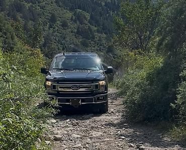 форт раптер: Ford F-150: 2019 г., Пикап — 3