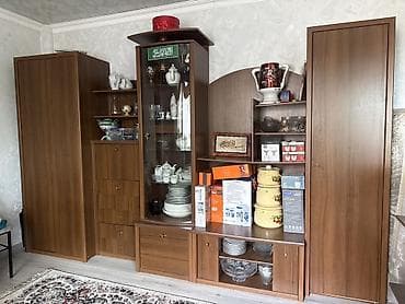 охотничий сейф: Стенка-шкаф, Тип стенки-шкафа: Модульная, Для зала, Особенности: С отделением под телевизор — 2