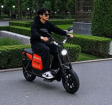 зимние пальто: Запас хода 160 км 💪 ⚡ АРЕНДА ЭЛЕКТРОВЕЛОСИПЕДОВ В БИШКЕКЕ ⚡ 🚲 Мощный — 6