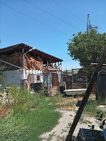 дом на продаж: Продаю 2 дома по 8 соток.район чекиш ата. можно отдельно. 1 дом с — 8