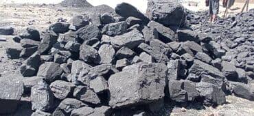 семена арбузы: Coal briquettes Акысыз жеткирүү — 1