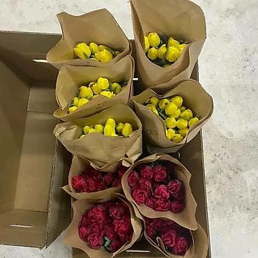 строим теплицы под ключ: Тюльпаны Оптом и в Розницу от Поставщика! Мы являемься прямыми — 3