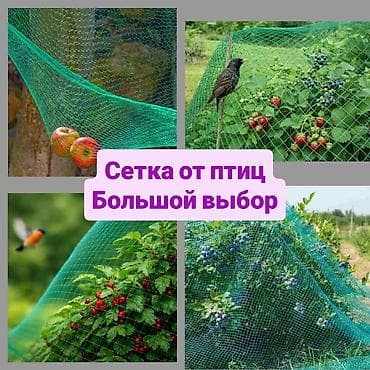 Защитные сетки от птиц, Самовывоз, Платная доставка — 1